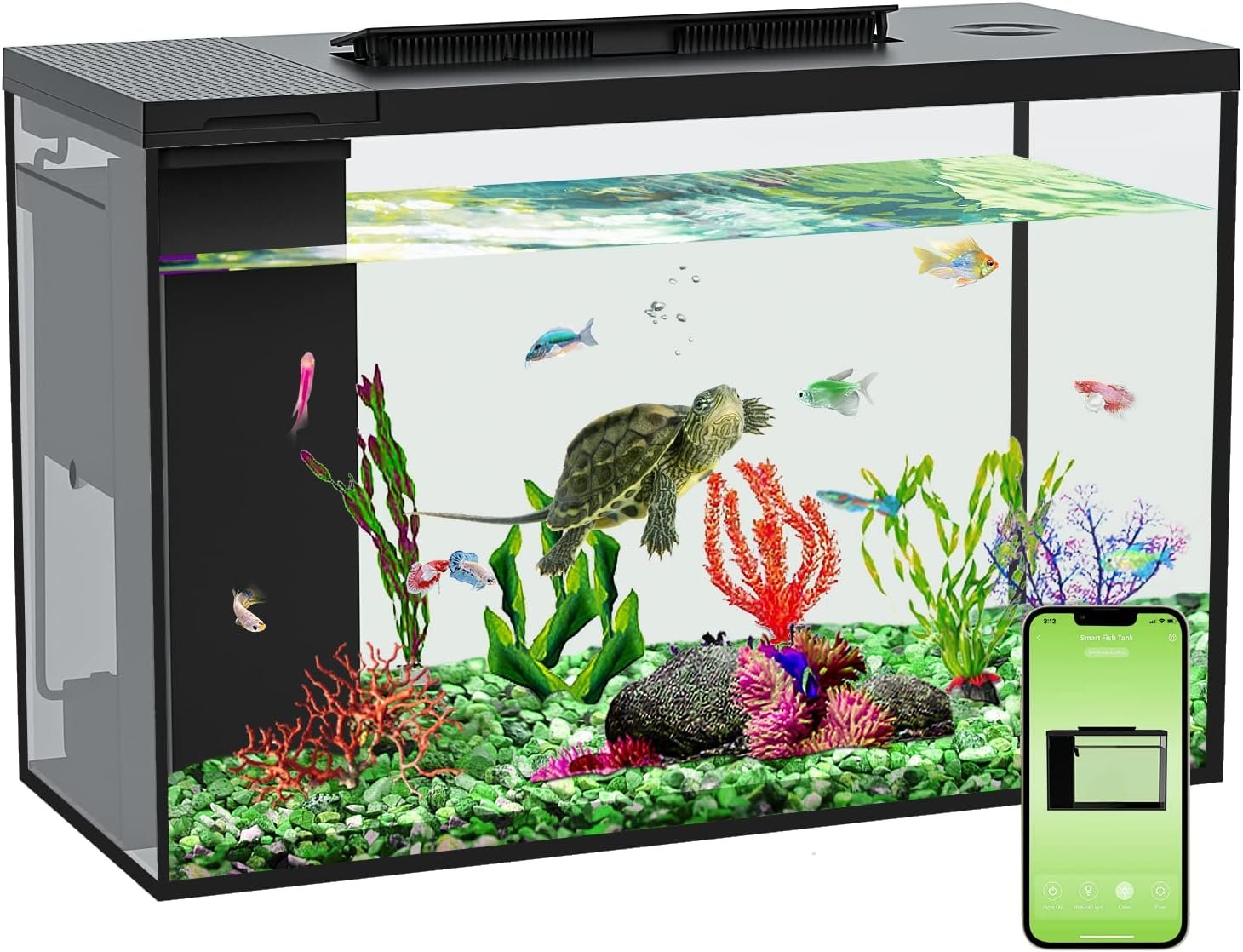 Aquarium Product Review: Driftwood, Starter Kit & Betta Fish Tank