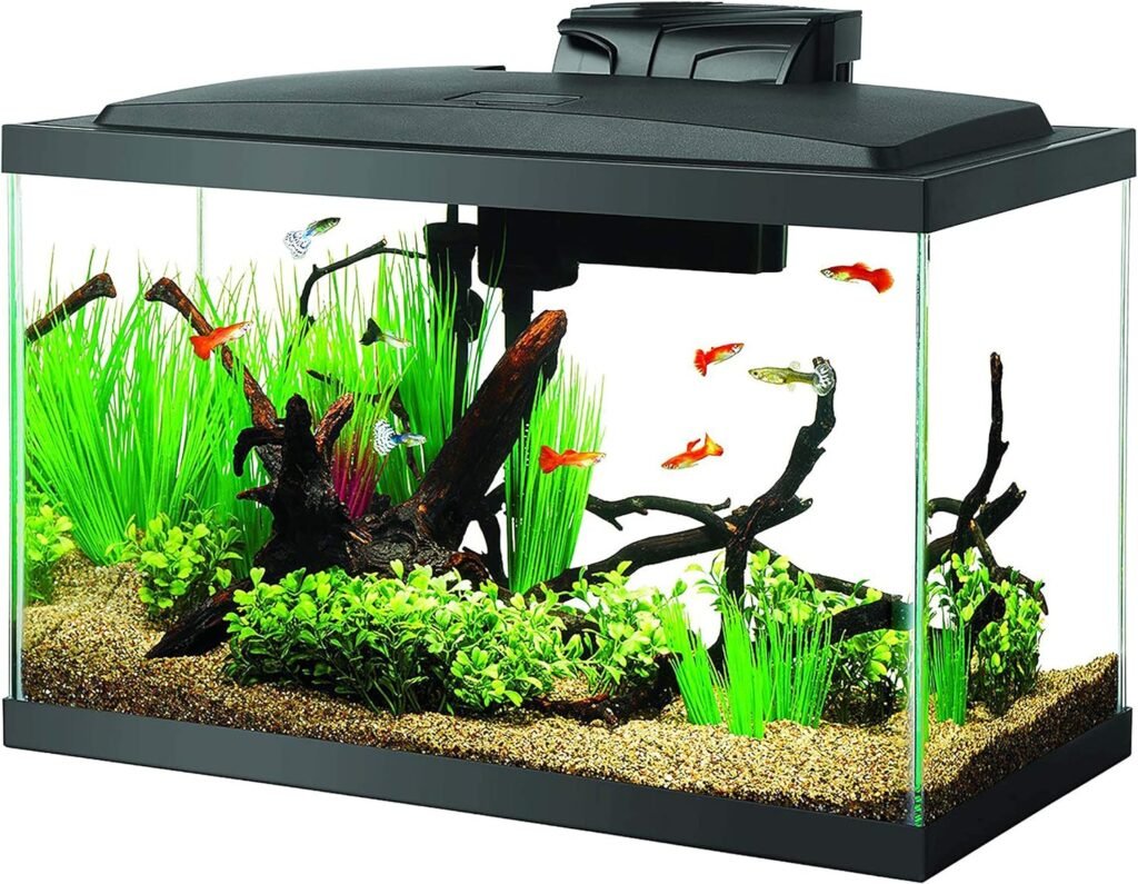 Aqueon Aquarium Fish Tank Starter Kit with LED Lighting 10 Gallon Fish Tank