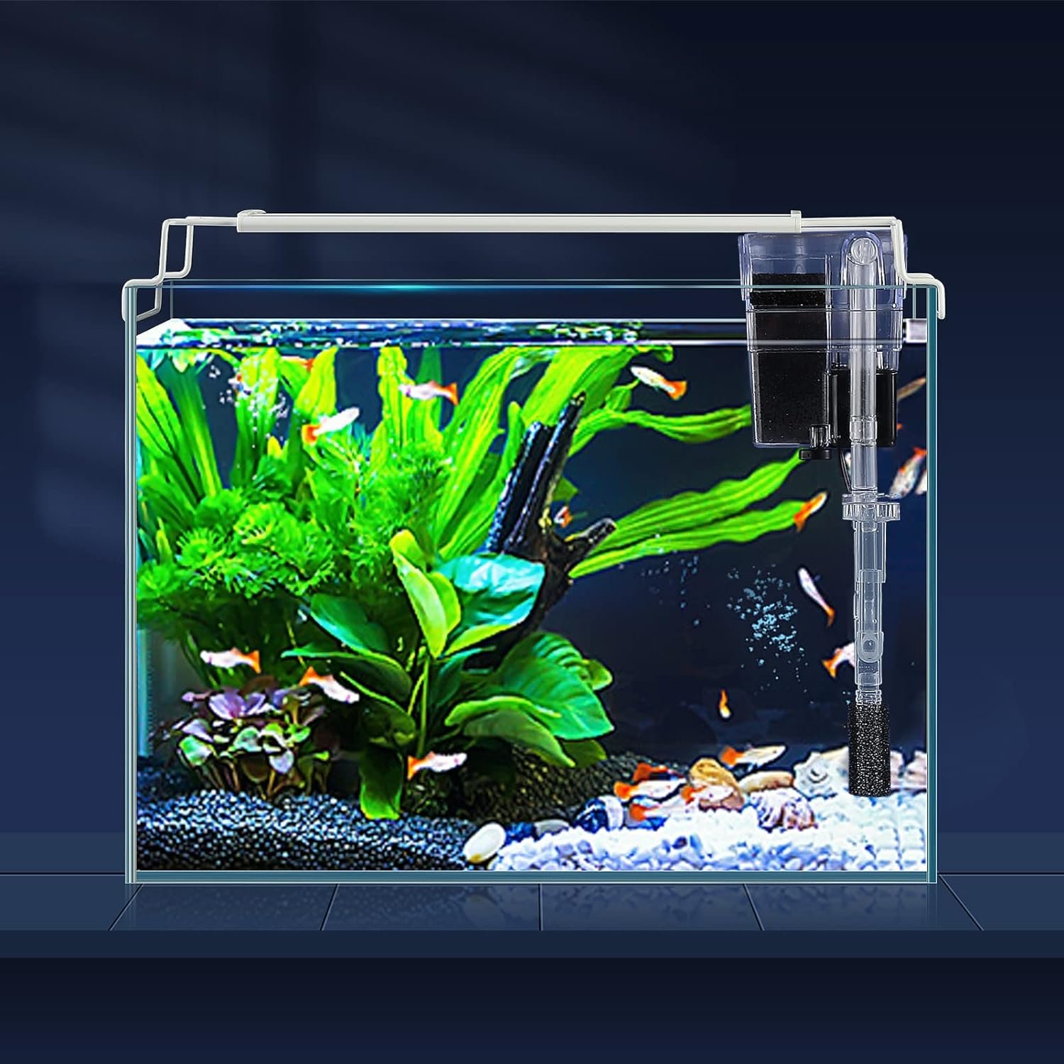 Comparing 3 Gal Rimless Tank, 5 Gal Fish Tank, & 0.6 Gal Starter Kit