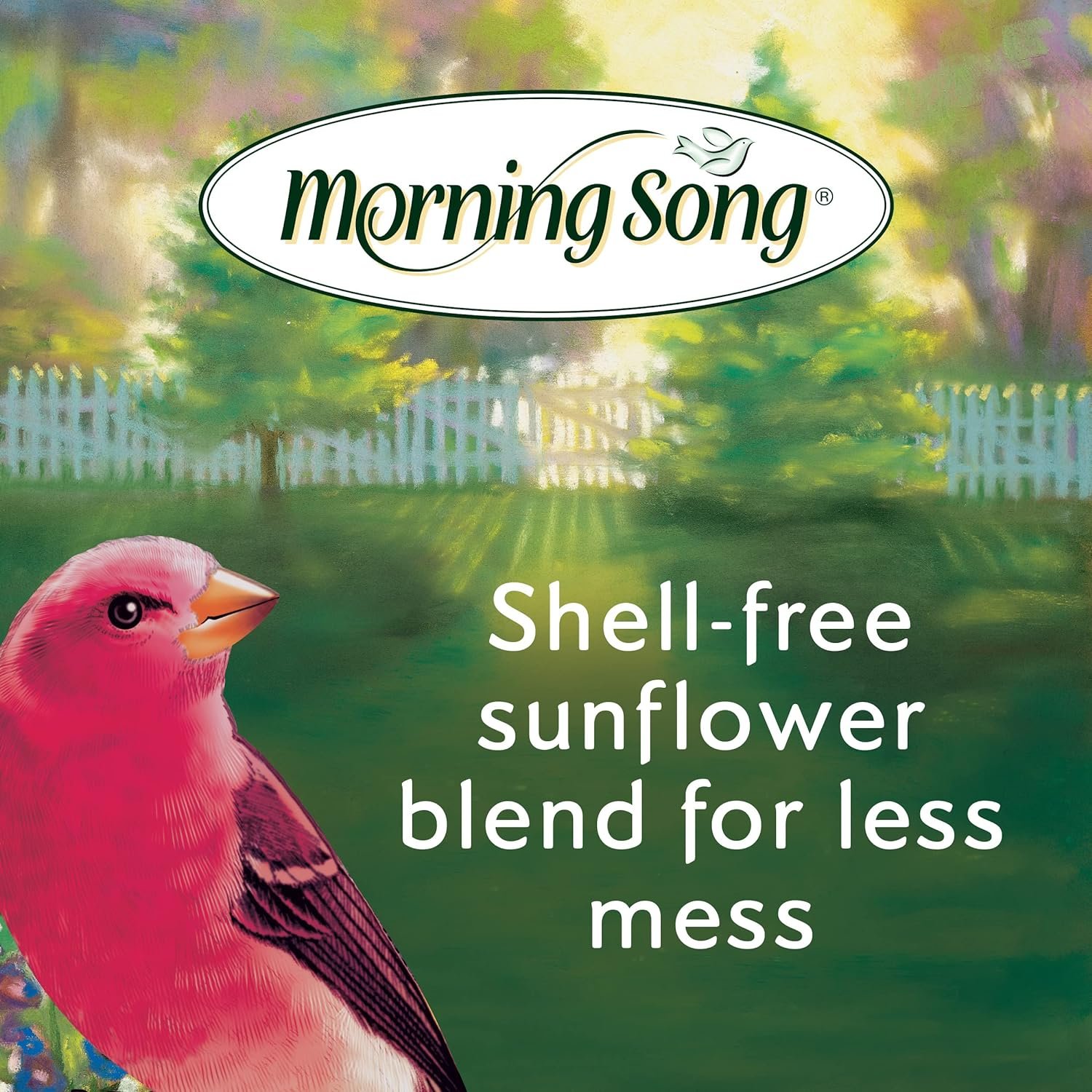 Best Organic and No Mess Bird Foods Compared: Handy Pantry, Morning Song, Wild Delight