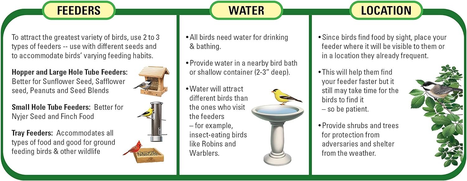 Best Wild Bird Foods: Comparing Wagner’s and Kaytee Products