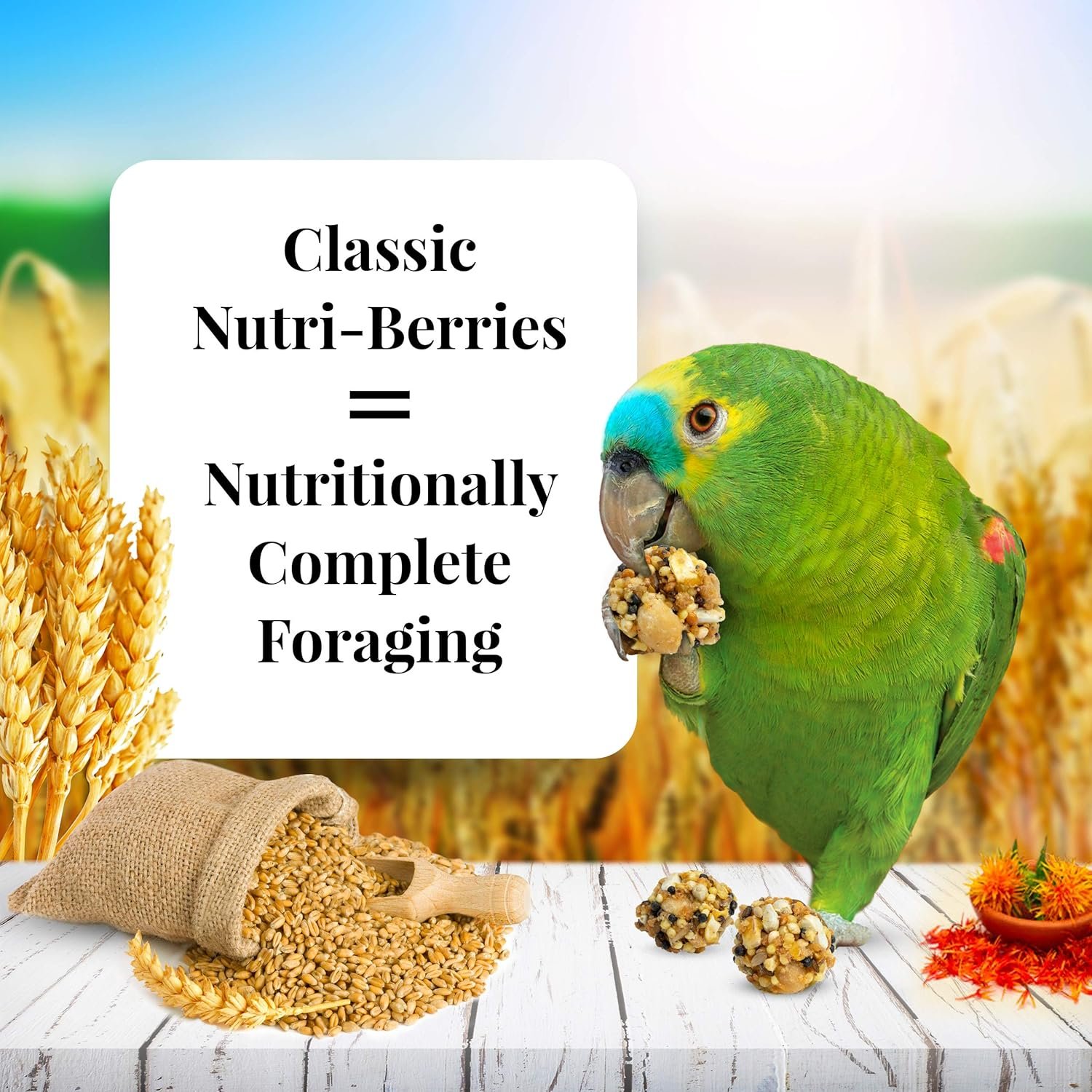 Best Bird Food Comparison: Nutri-Berries, Millet & Cuttlebone