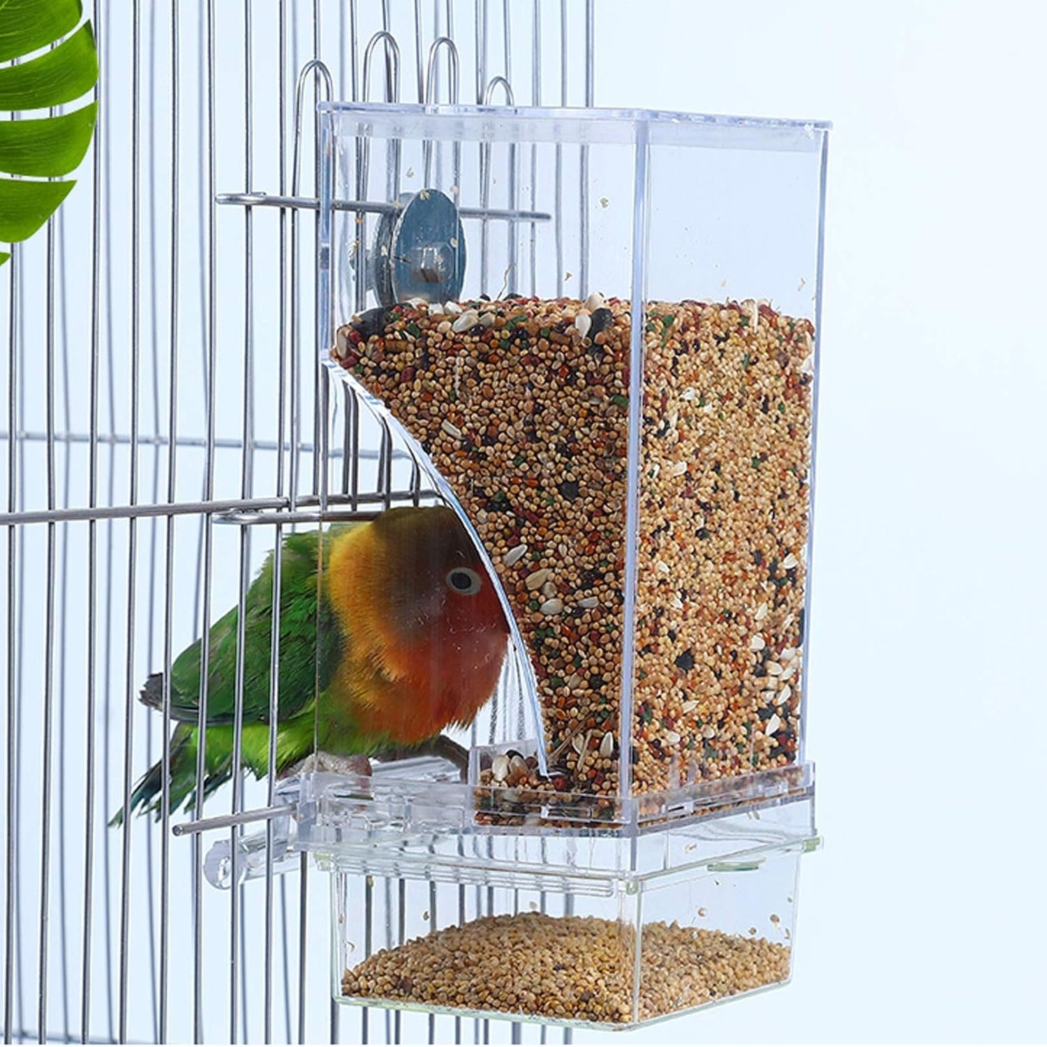 Comparing Top Bird Feeders and Seed Options for Small Birds