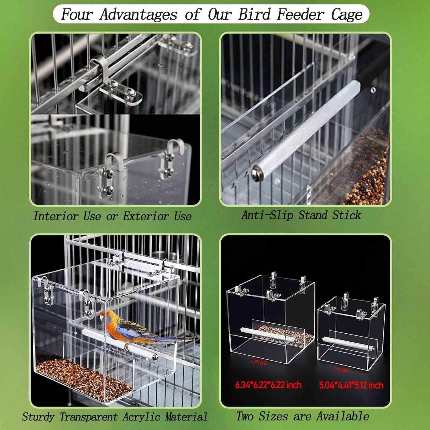 Comparing Top Bird Feeders: Features, Benefits, and Usability