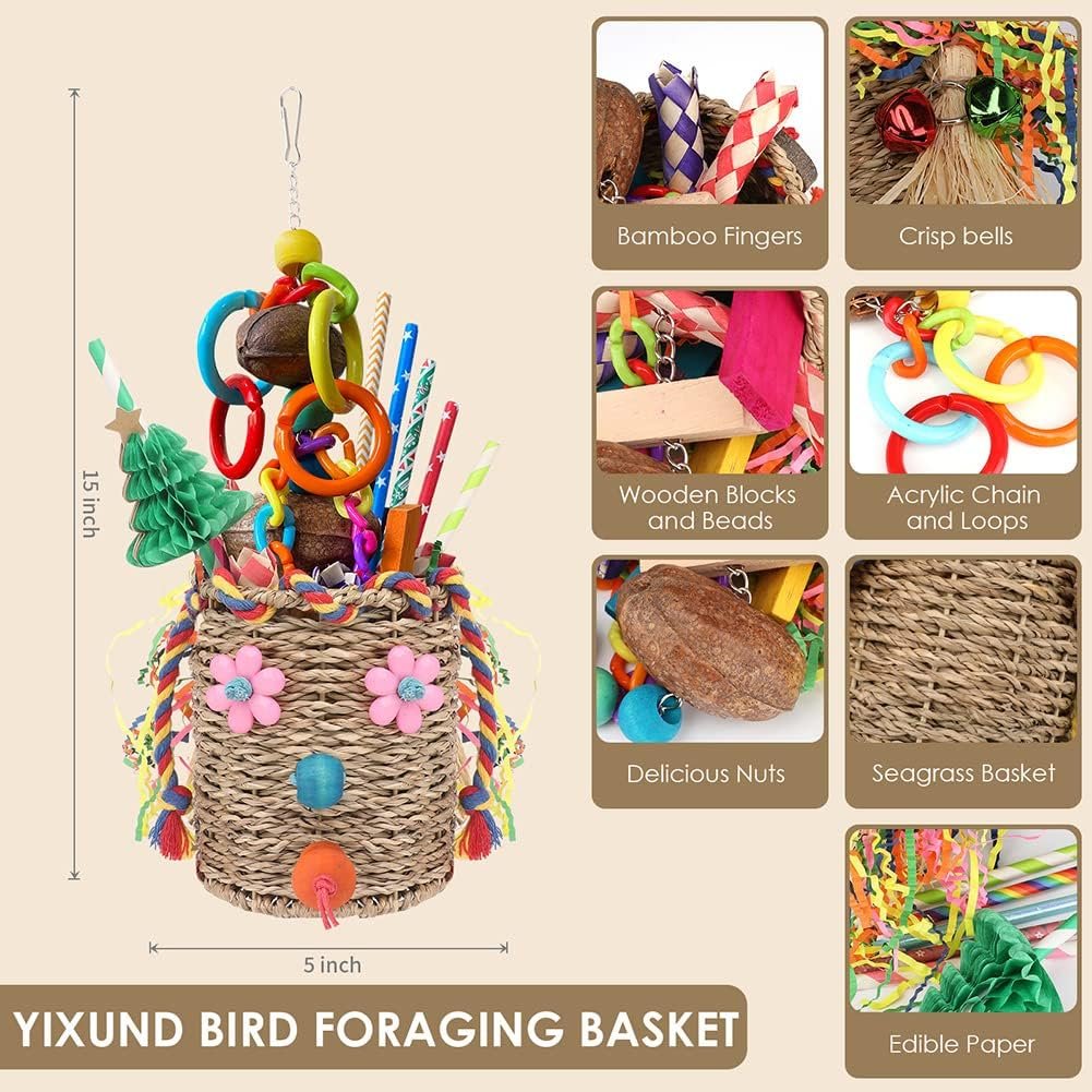 Top Bird Toys and Feeders: A Comparative Review