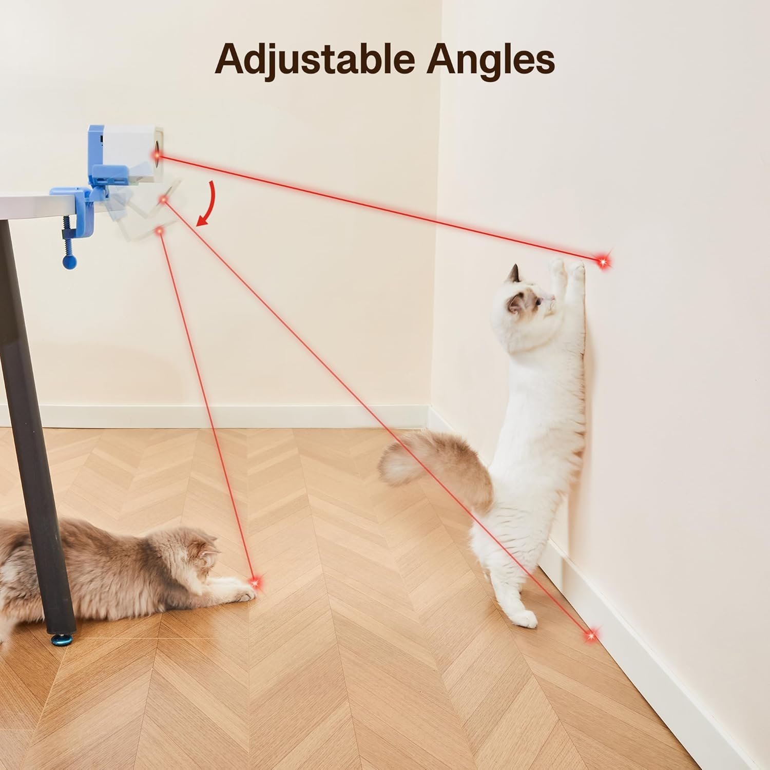 Comparing Top-Rated Self-Rotating Laser and Ball Cat Toys