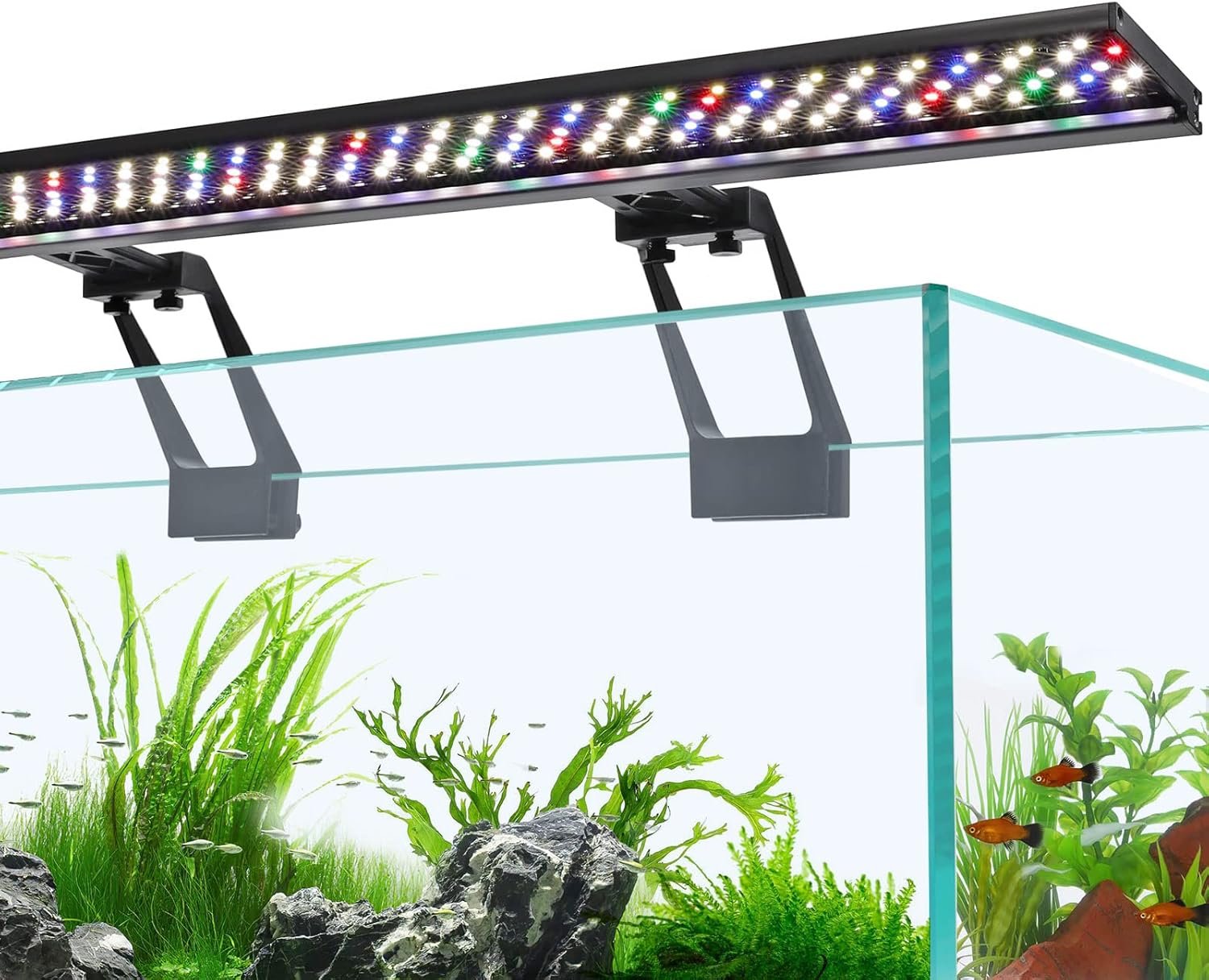 Best Aquarium LED Lights: Hygger, Lominie, and More